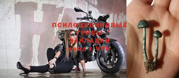 метадон Гусев